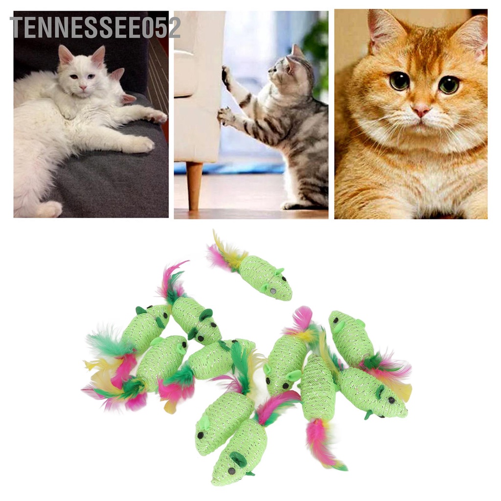Tennessee052 11 cái Mice Cat Toy Đa dụng Squeaky Tương tác Mèo Đồ chơi Chuột cho và con Màu xanh lá cây