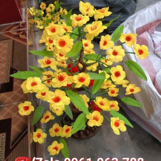 CÂY MAI GIẢ