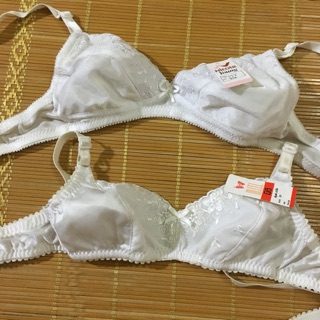 Combo 2 áo lót học sinh hàng Thái Lan