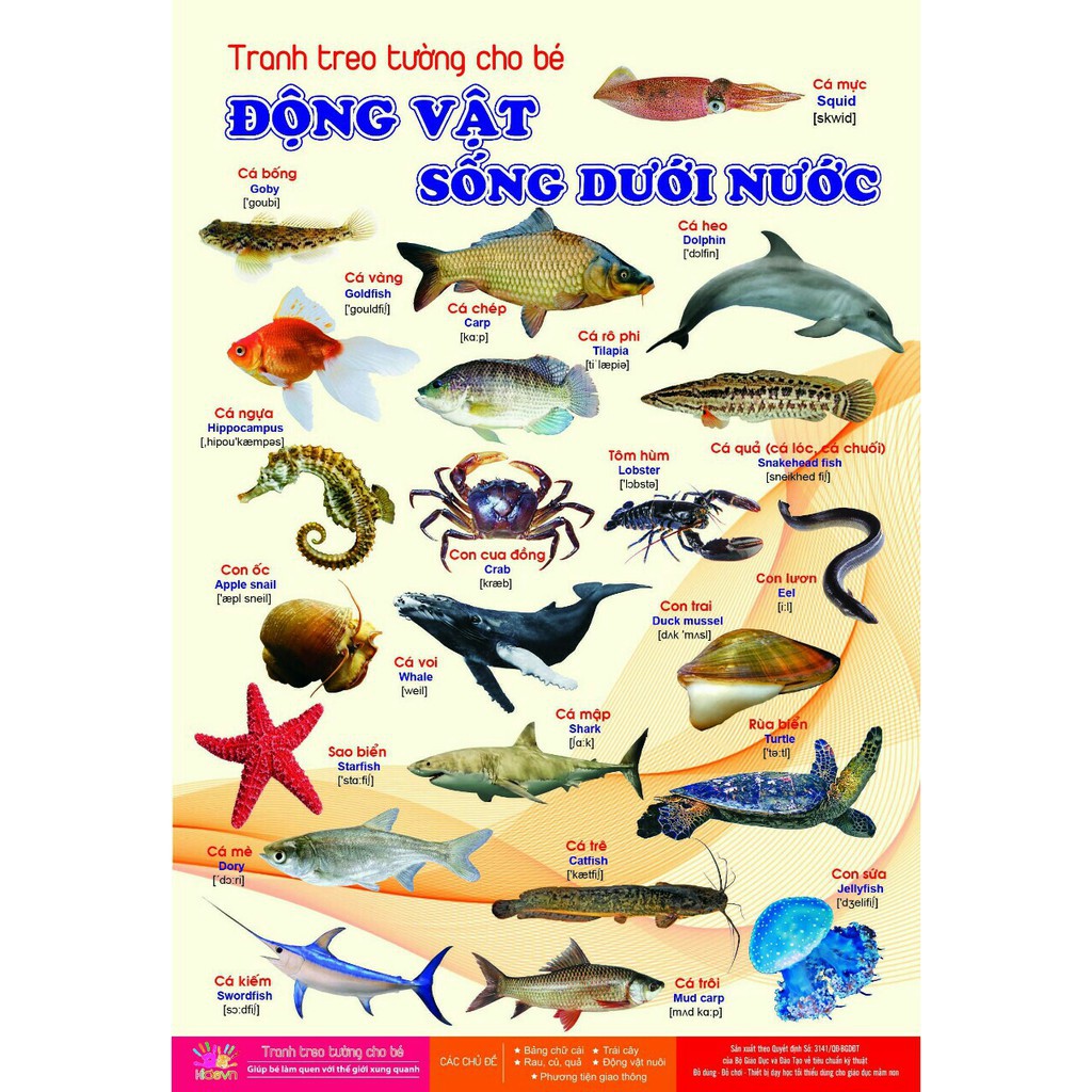 Bộ tranh treo tường 14 chủ đề cho bé