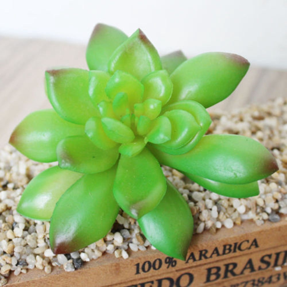 Cây sen đá nhân tạo đa sắc dùng trang trí độc đáo