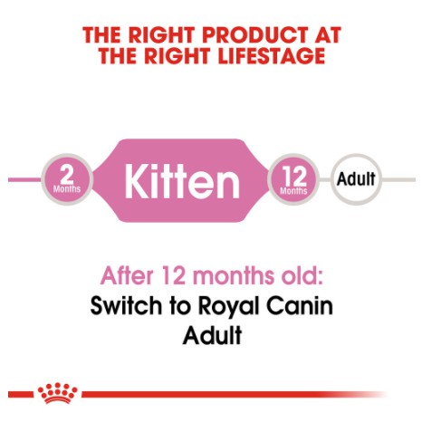 [2KG] Hạt Royal Canin Kitten Cho Mèo Con