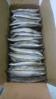 Khô cá chạch 500g /230k