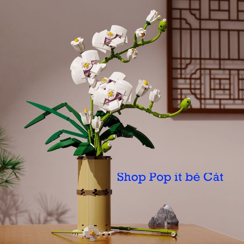 Đồ Chơi Lắp Ráp Mô Hình Hoa Phong Lan Phalaenopsis BOX