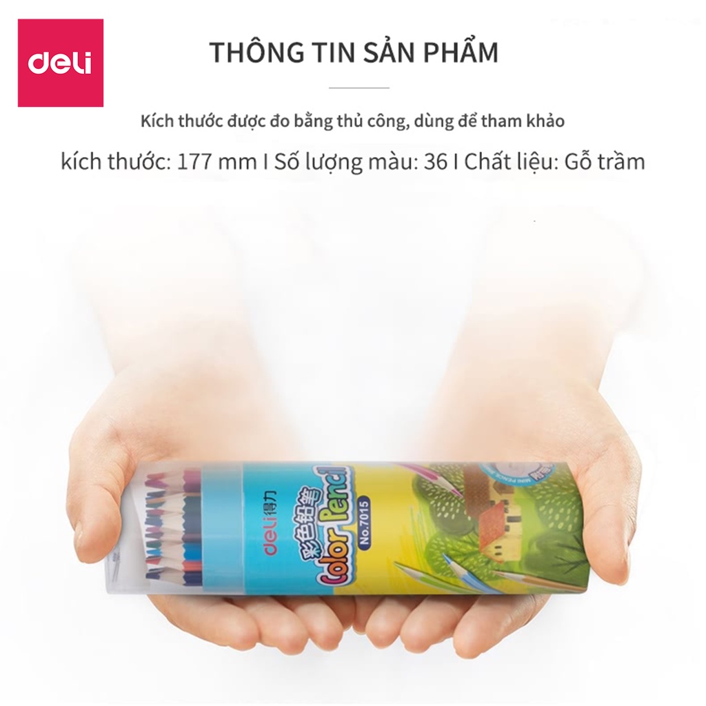 Bút chì màu cốc học sinh Deli - 12/18/24/36 màu - 7012/7013/7014/7015