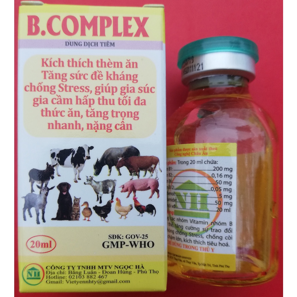 1 lọ B.COMPLEX 20ml chuyên dùng cho gia súc, gia cầm, trâu, bò, ngựa, dê, cừu, lợn, gà chọi, gà đá, chim cảnh, chó mèo