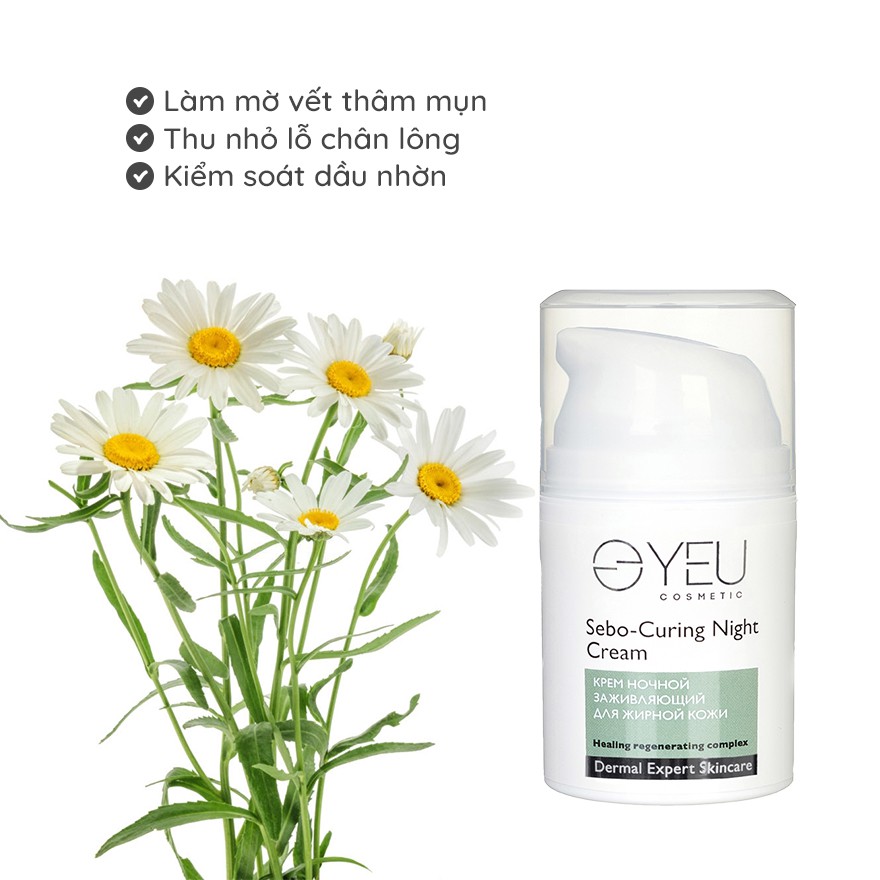 Kem dưỡng da ban đêm Sebo-Curing Night Cream 50ml – Dành cho da dầu, da hỗn hợp | BigBuy360 - bigbuy360.vn