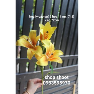 HOA LILY CAO SU TRANG TRÍ NHÀ