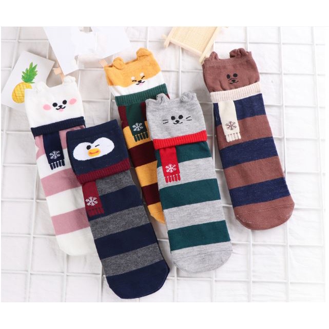 SET 5 Tất vớ socks dài hình hoạt hình cute
