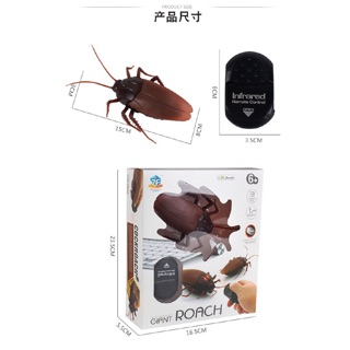 Gián Điều Khiển Từ Xa