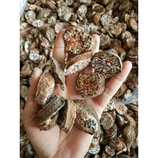 Chuối Hột Rừng Thái Lát [1kg]
