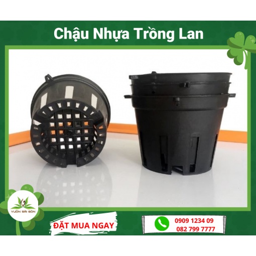 Combo 10 Chậu nhựa trồng lan phi 14 - Green City