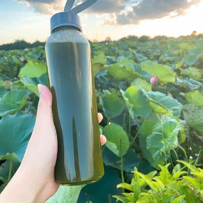 Hộp 500gr bột lá sen nguyên chất sấy lạnh