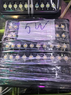 2 chiếc Nhân led 5w
