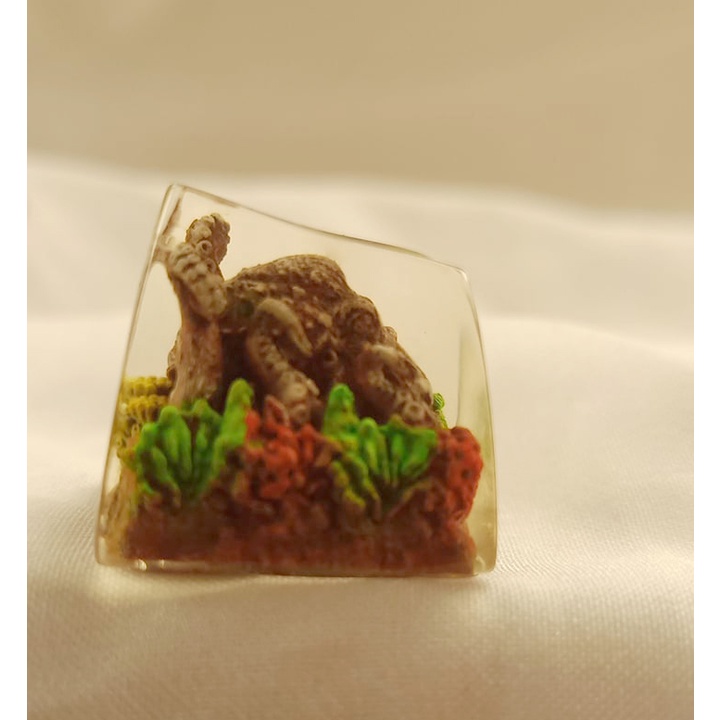 Nút bàn phím hình bạch tuộc