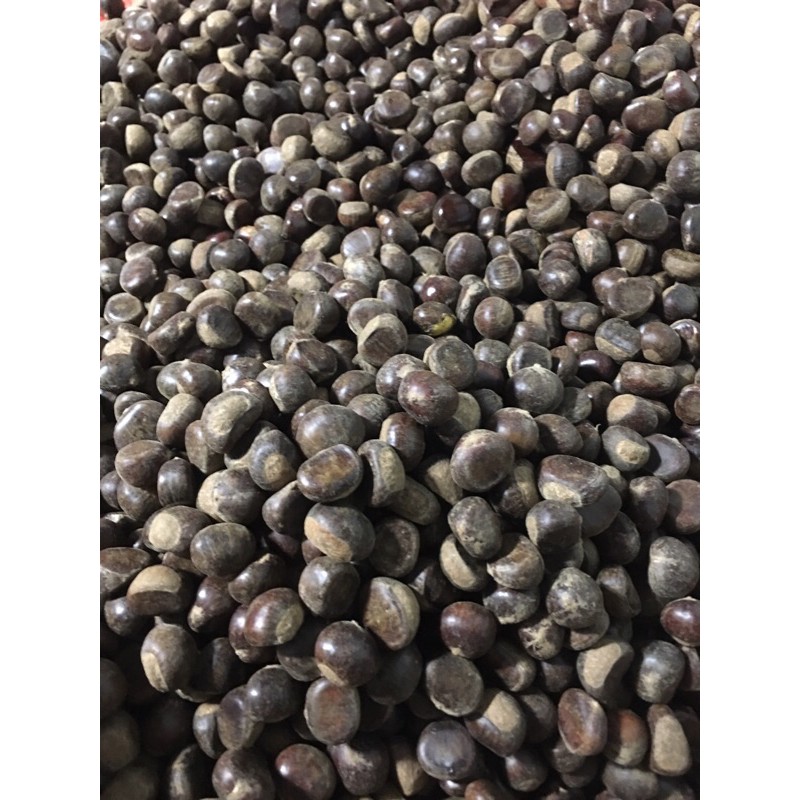 76k/kg(dẻ khứa vỏ sẵn) | BigBuy360 - bigbuy360.vn