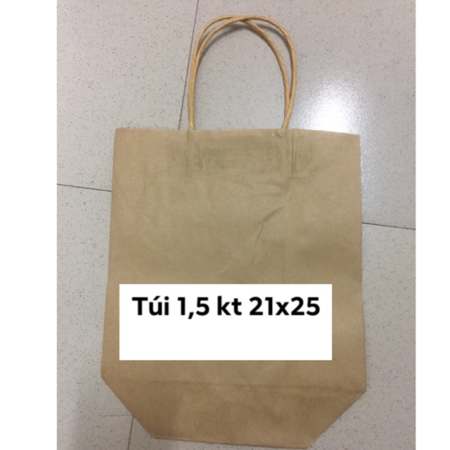 100 túi có quai kt 21x25