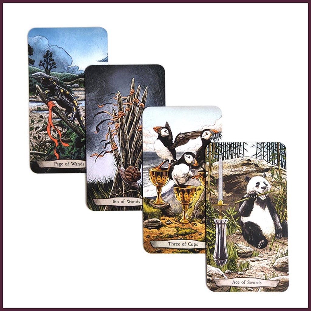Bộ Bài Tarot Phiên Bản Tiếng Anh Đầy Đủ Và Hướng Dẫn Thú Vị