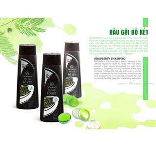 Dầu gội bồ kết Thorakao 400ml