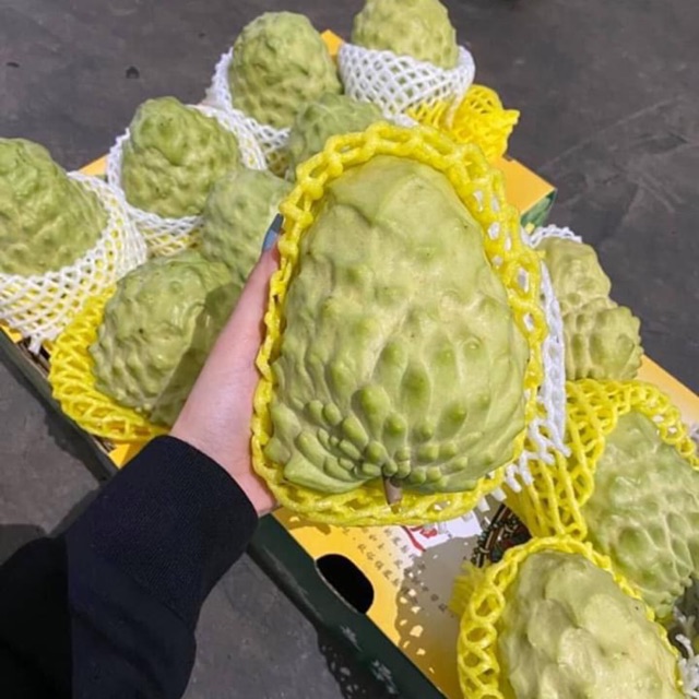 Cây na Đài Loan