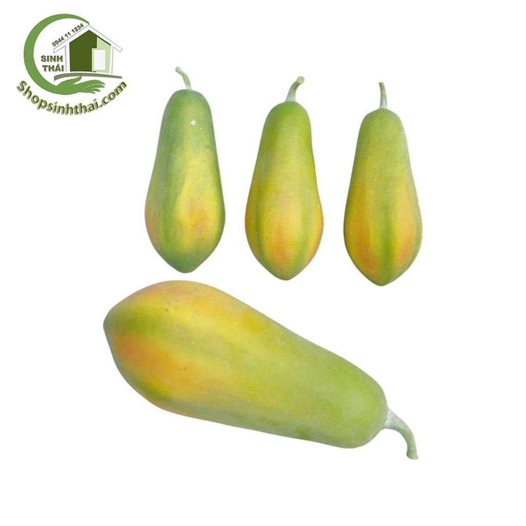 Trái đu đu giả - quả đu đủ chín cây màu xanh vàng - Trái cây giả cao cấp
