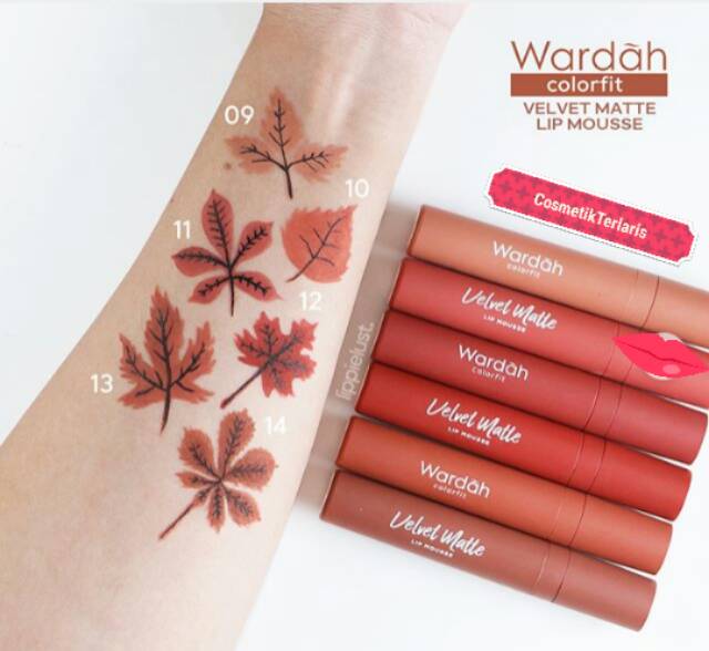 (Hàng Mới Về) Son Lì Wardah Colorfit 4 Gr Sweet Cinnamon (13) | BigBuy360 - bigbuy360.vn