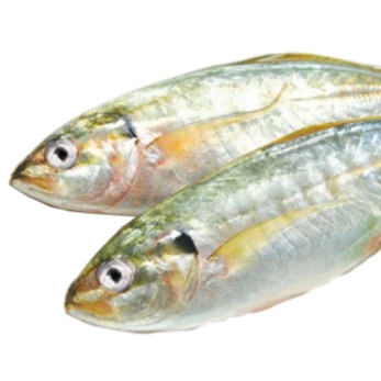 Cá Bạc má làm sạch 500g
