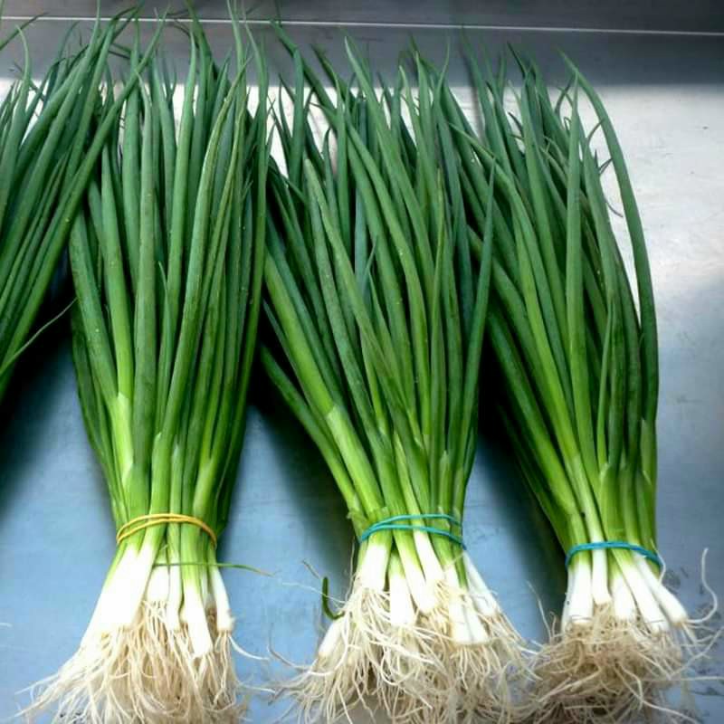 Giao Hỏa Tốc HCM Nguyên liệu làm đồ ăn vặt Hành Lá Đà Lạt nêm canh, xào, hấp hành, đồ mặn, các món khác