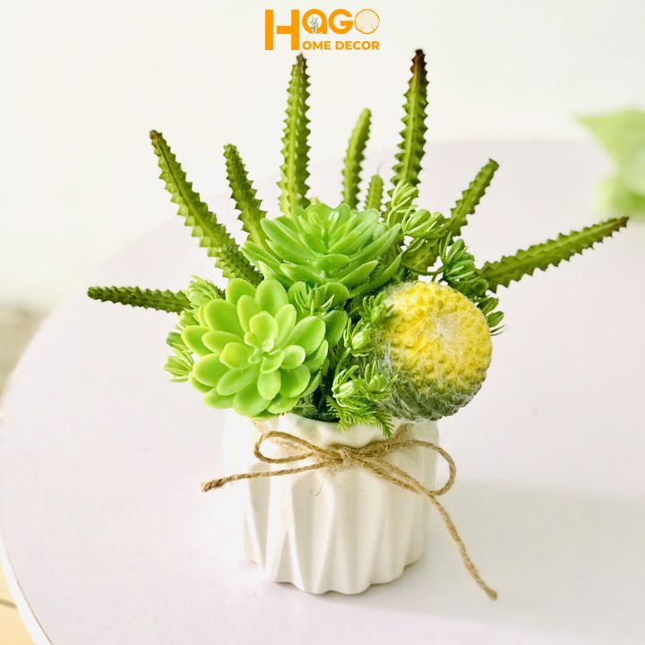 Cây giả,chậu cây sen đá Hago mini cắm sẵn trang trí,decor nhà cửa cực xinh