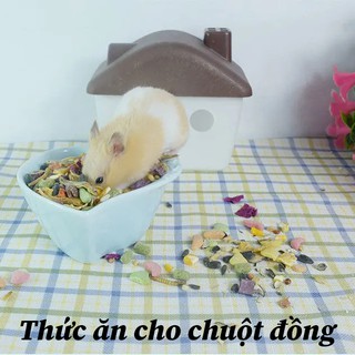 Hamster Grain Dinh dưỡng Thực phẩm chính Pudding Gold Silk Bear Frozen Tự trang bị gói thức ăn Qi Range Big Box