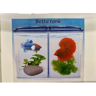 Bể cá mini betta box