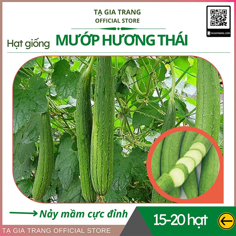 Hạt giống Mướp hương Thái Lan - Gói 10-20 hạt