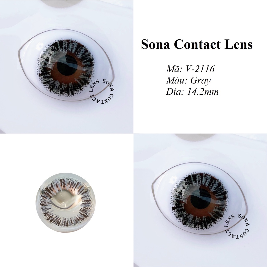 Lens Gray V-2116 [EXP 9/2023] (kính áp tròng Sona Hàn Quốc)