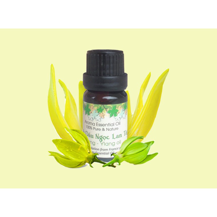 TINH DẦU TỰ NHIÊN 10 ML