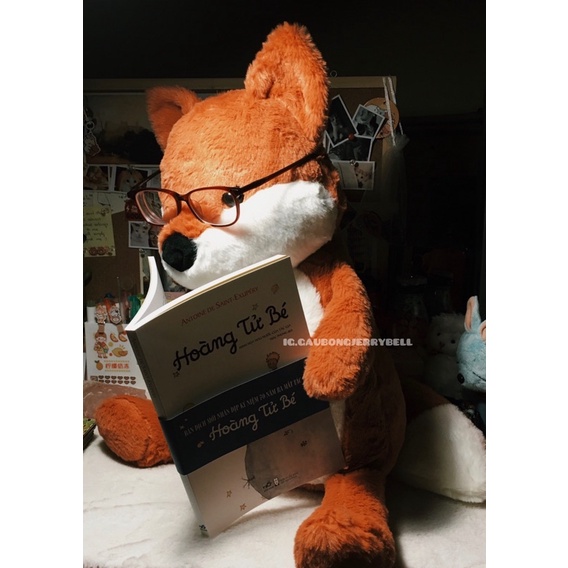 Gấu Bông Cáo Cam mùa thu Fox Orange Nhồi Bông Lông Mịn Cao Cấp Nhiều Size Gía Rẻ