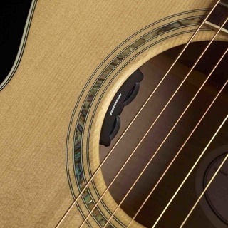 EQ guitar Fishman Sonitone( gắn họng đàn)
