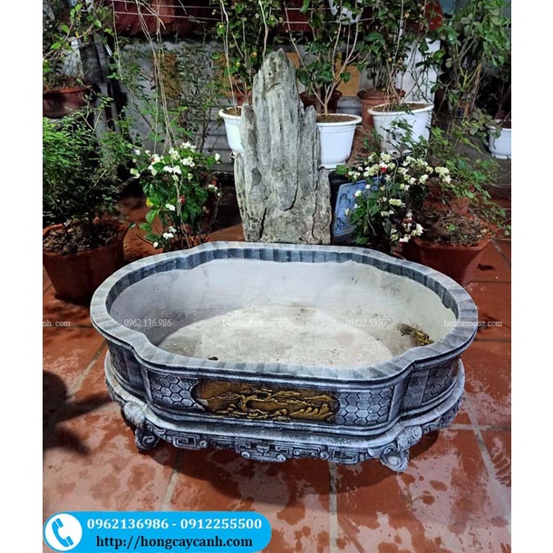 Ang xi măng bầu dục trồng cây II Ang nuôi cá II Ang trồng cây thế