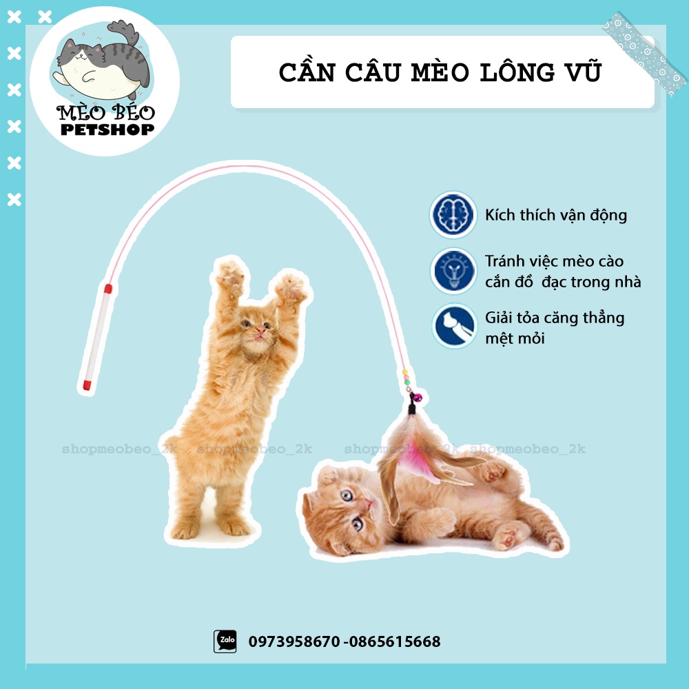 Cần câu mèo bằng dây thép dẻo - đồ chơi cho mèo có chuông - Mèo Béo Petshop
