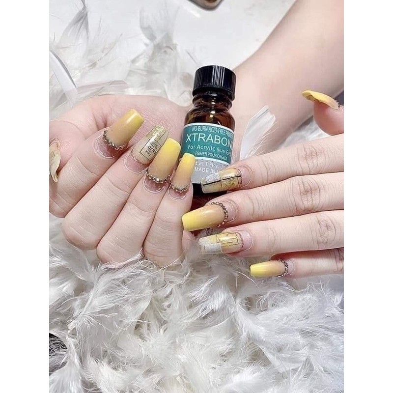 Liên kết bột Mỹ