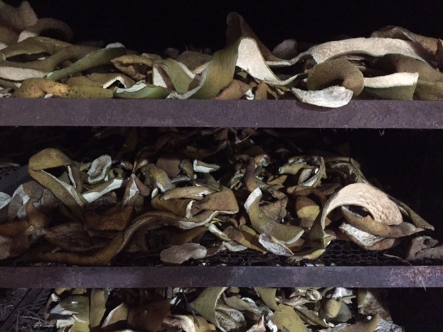 Thảo dược gội đầu bồ kết (túi lọc) | BigBuy360 - bigbuy360.vn