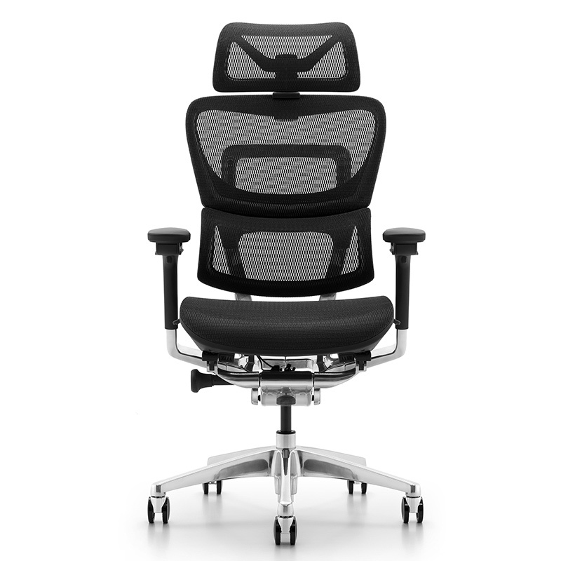 Ghế Công Thái Học Ergonomic Fly Pro Đen