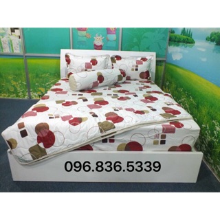 BỘ CHĂN DRAP GỐI COTTON HOMETEX 160x200x25cm