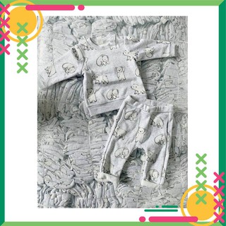 Bộ  gấu trắng bắc cực cực kì ấm áp