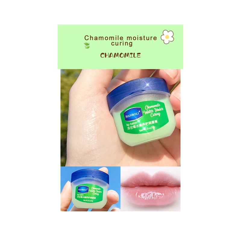 ✧Ready Stcok Hanboli Sáp Dưỡng Môi Vaseline Lip Dưỡng Môi Giữ Ẩm Mặt Nạ Nam Nữ Tự Nhiên Chống Nứt Vỡ Chống Khô Son Dưỡng Môi