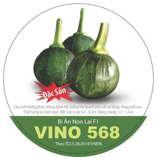 Hạt giống bí ăn non lai F1 VINO 568, bí ngòi quả tròn