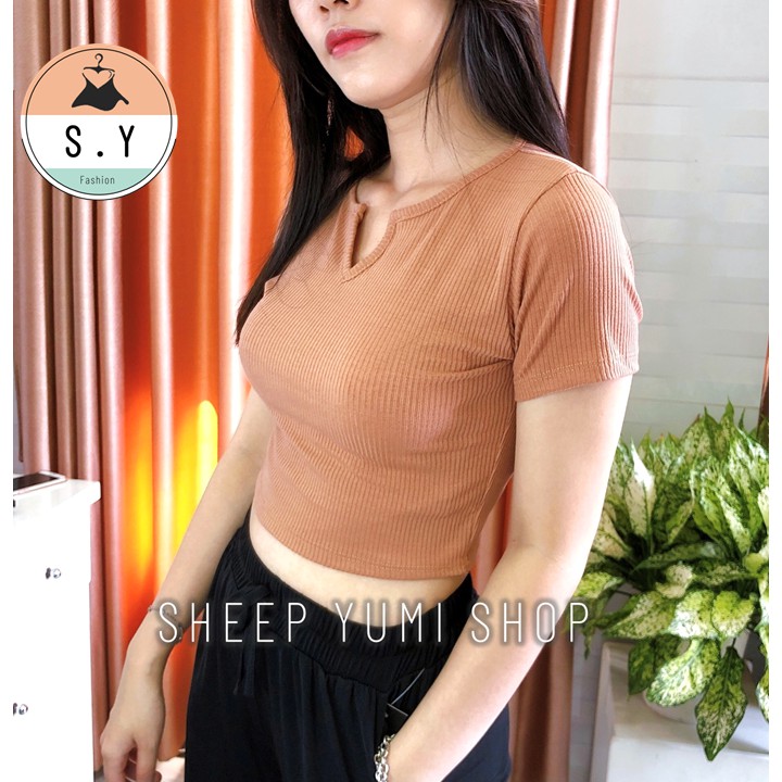 Áo Thun Croptop Cổ Tròn Khoét Chữ V Dáng Ôm Vải Co Giãn SHEEP YUMI SHOP AC09