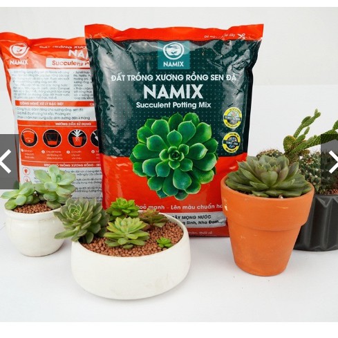 Đất trồng xương rồng, sen đá Namix 5dm3