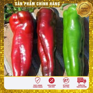 Hạt Giống Ớt Sừng Ngọt