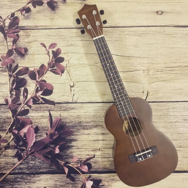 (ĐỘC) ĐÀN UKULELE CONCERT MÀU NÂU GỖ SIÊU ĐẸP