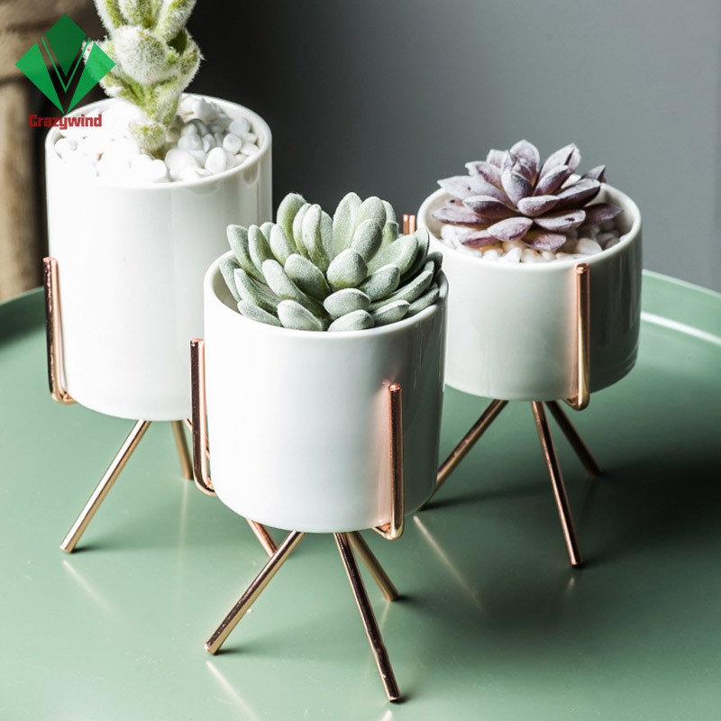 Chậu trồng cây màu trắng bằng sứ kèm chân đế bằng sắt